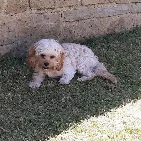 Alexandra Place Child And Dog Friendly בית נופש